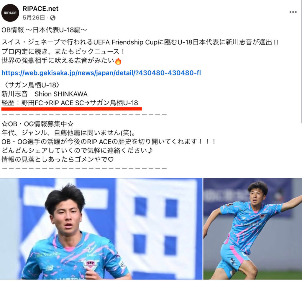 新川志音 経歴