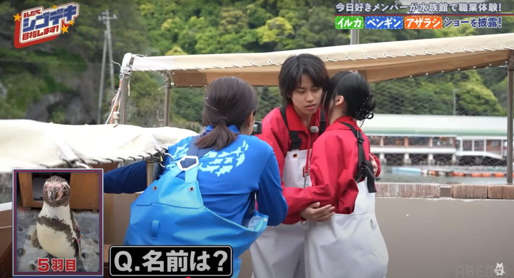 こおめいカップル