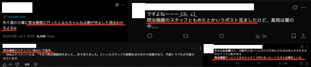 ちゃんねる鰐 爬虫類館